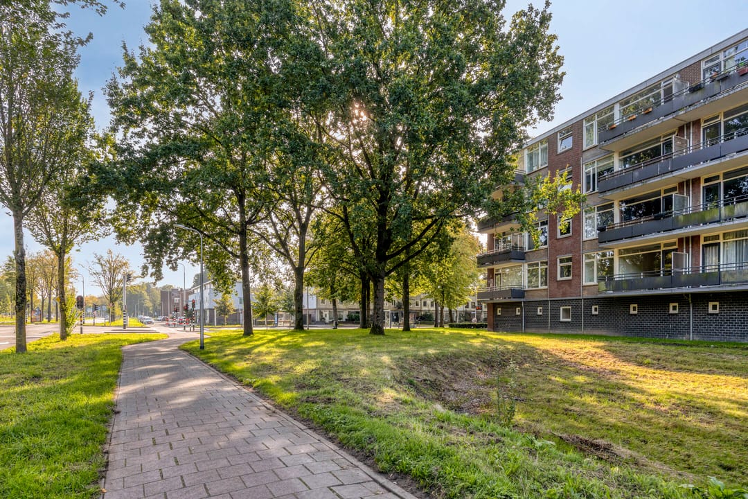 Photo 26 of Predikherenlaan 19