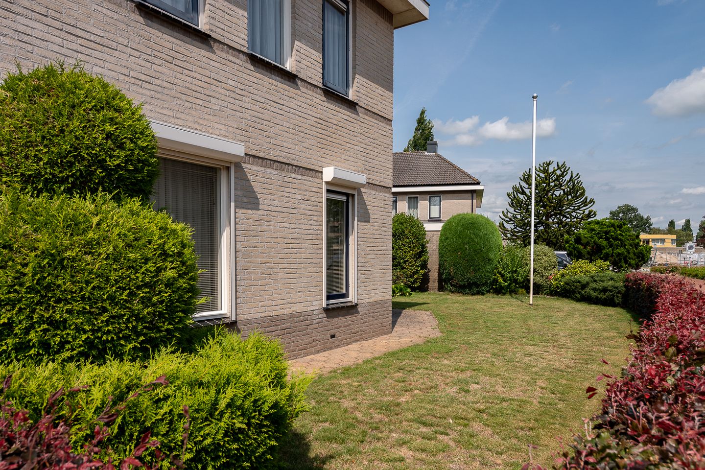 Foto 5 van Lupine 7