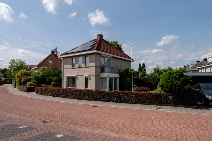 Foto 3 van Lupine 7