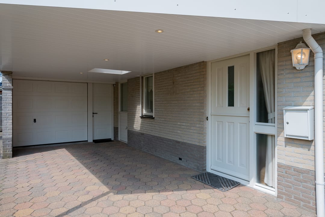 Foto 7 van Lupine 7