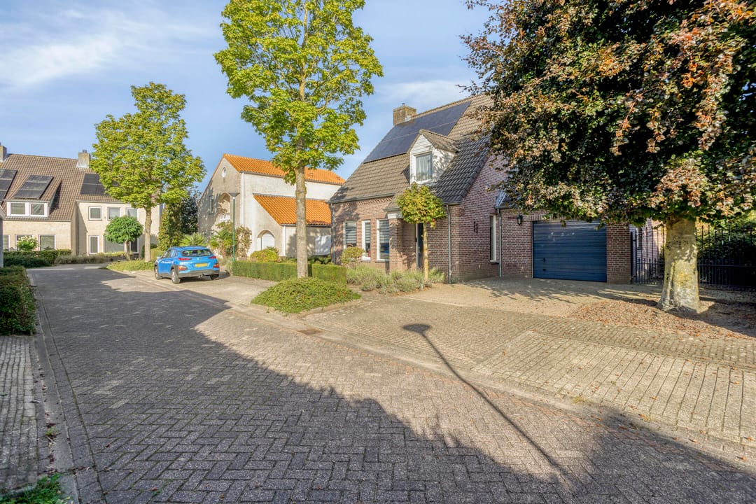 Foto 47 van Kruisboog 17