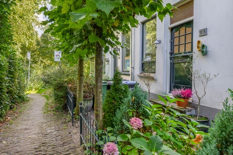 Jan de Wittestraat thumbnail