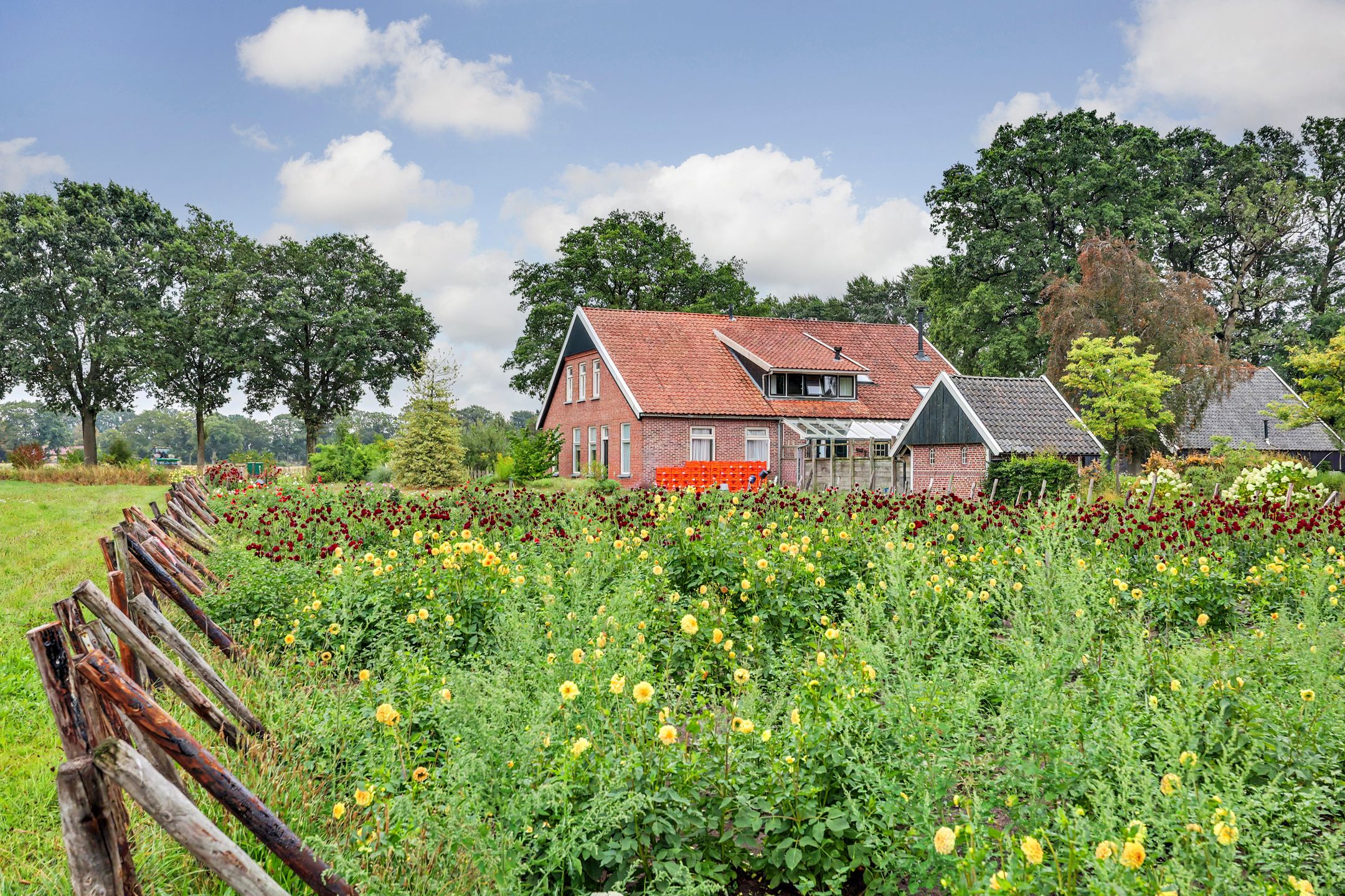 Photo 33 of Esinkweg 10