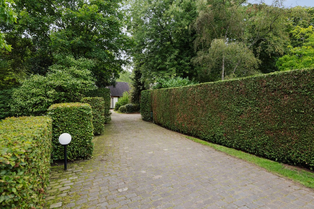 Photo 47 of Jac. P. Thijsseweg 7