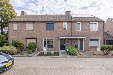 Korenbloemstraat thumbnail