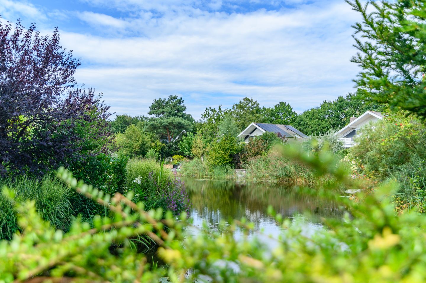 Foto 55 van Heidemeer 20