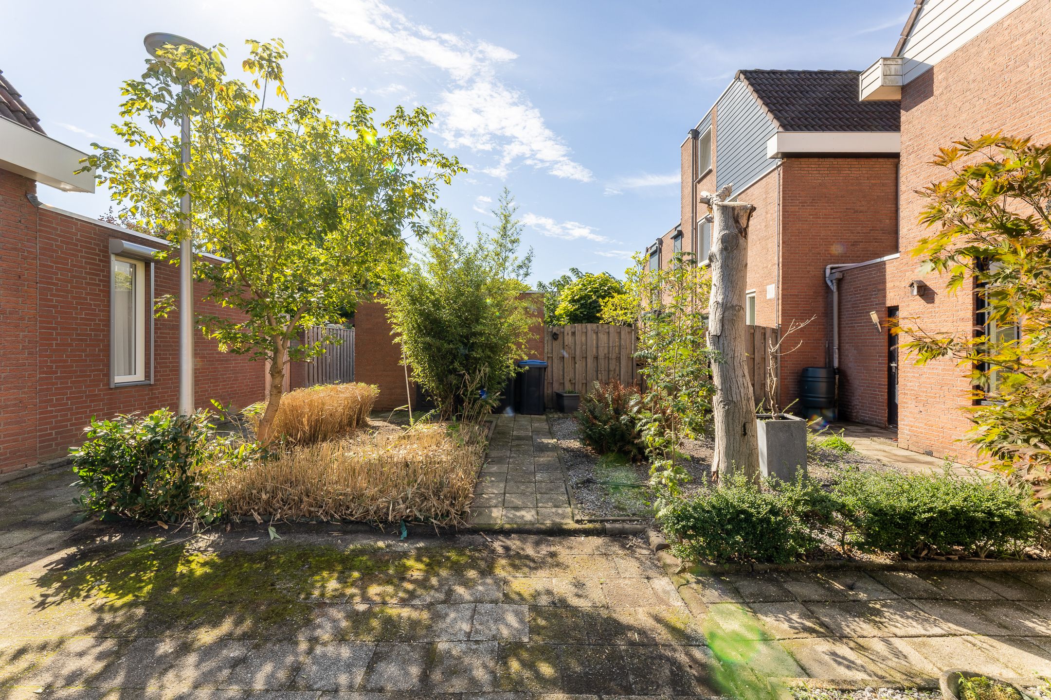 Foto 42 van de Tulp 41