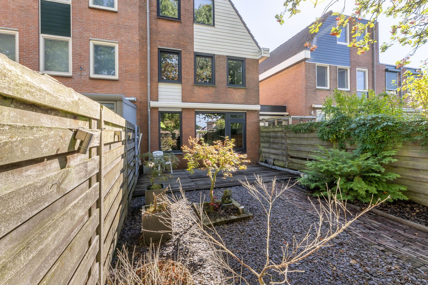 Foto 49 van de Tulp 41