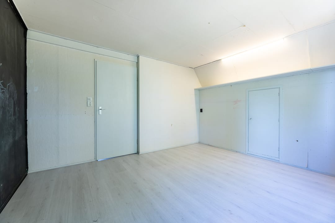 Foto 41 van de Tulp 41