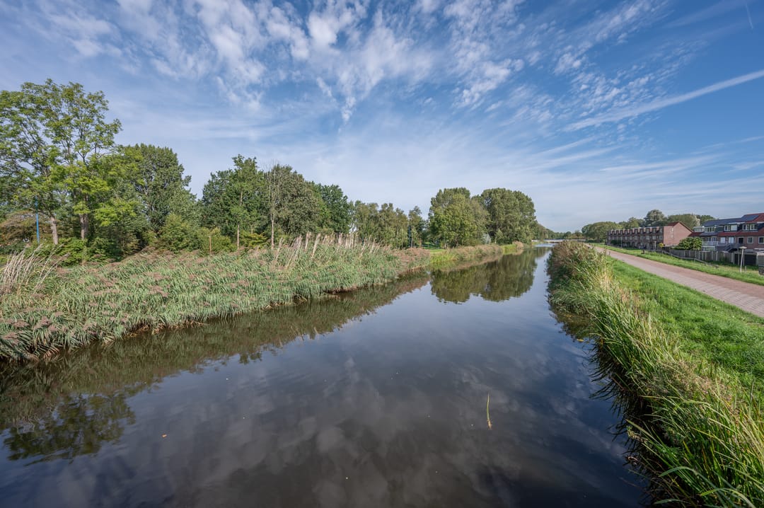 Foto 43 van Buizerdveld 203
