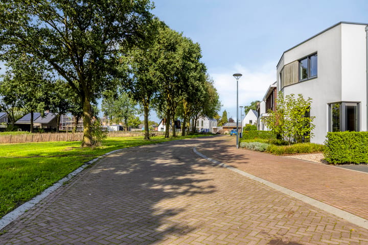 Foto 5 van Boekweit 9