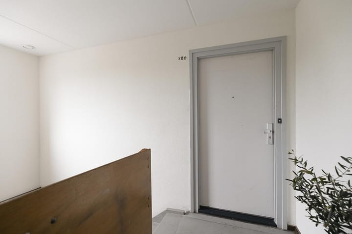 Foto 4 van Evenaar 286
