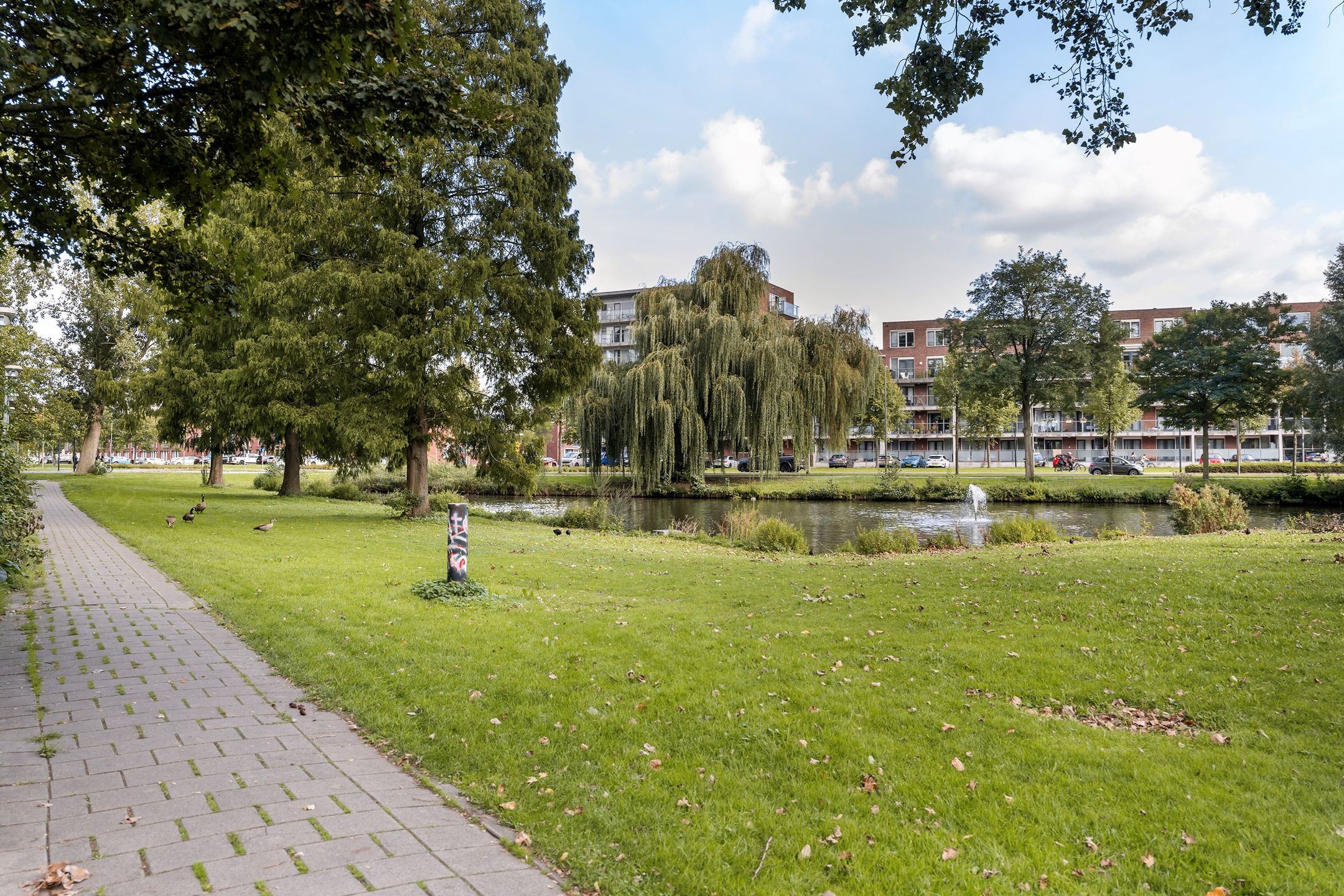 Photo 39 of Burgemeester Van Haarenlaan 1396