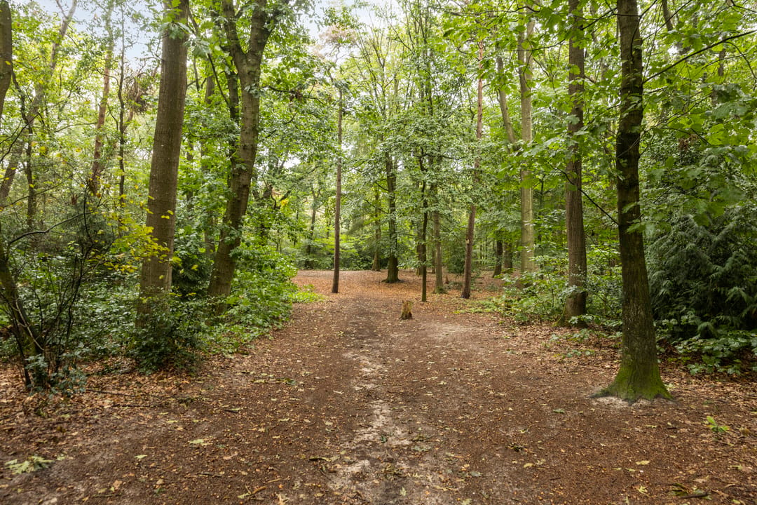 Photo 41 of Klokkegat 47