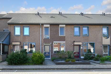 Dr. Ariënsstraat thumbnail