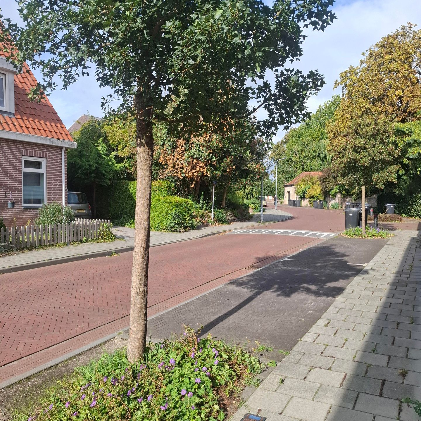 Photo 49 of Landstraat 7