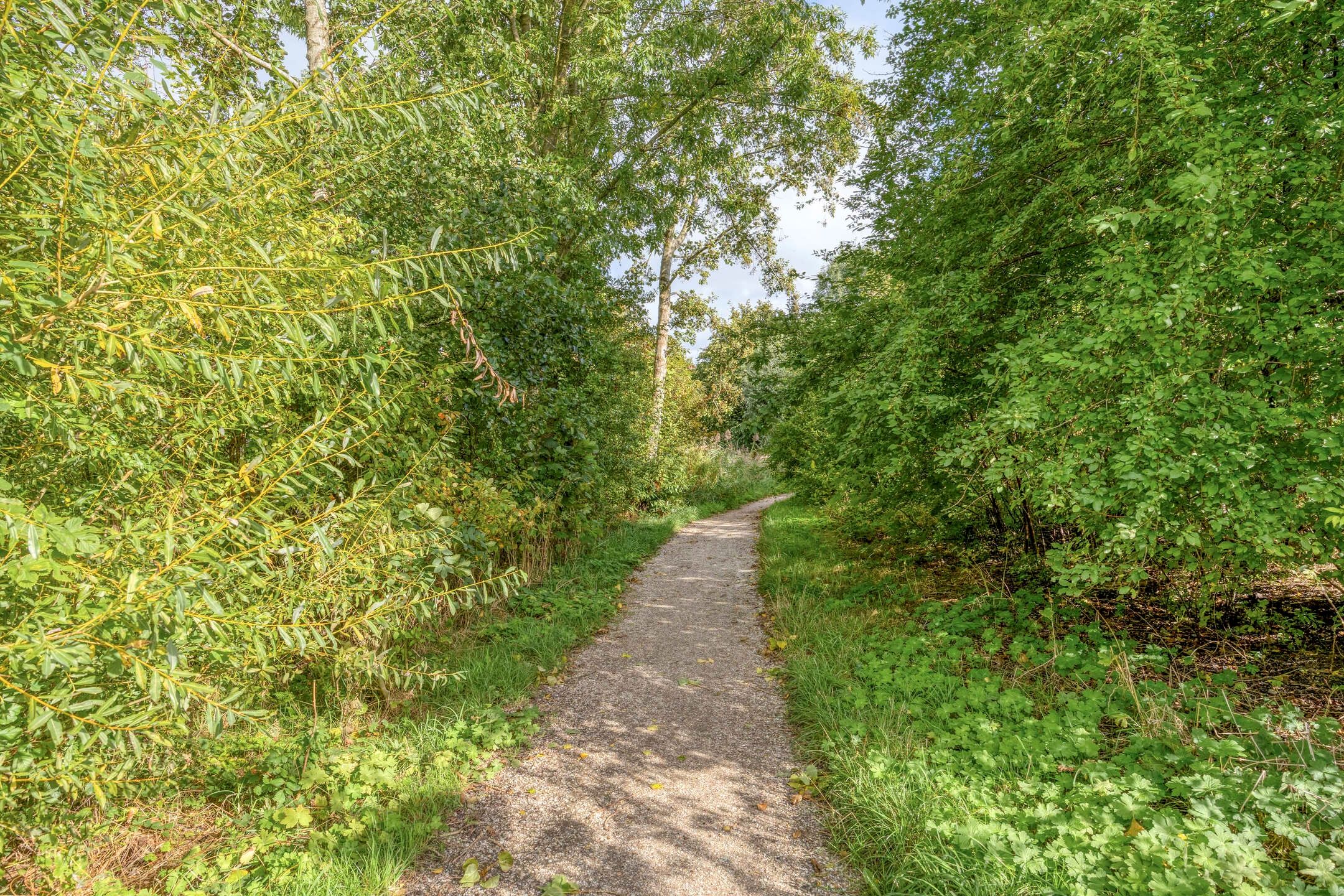 Foto 42 van Frederiksweg 17