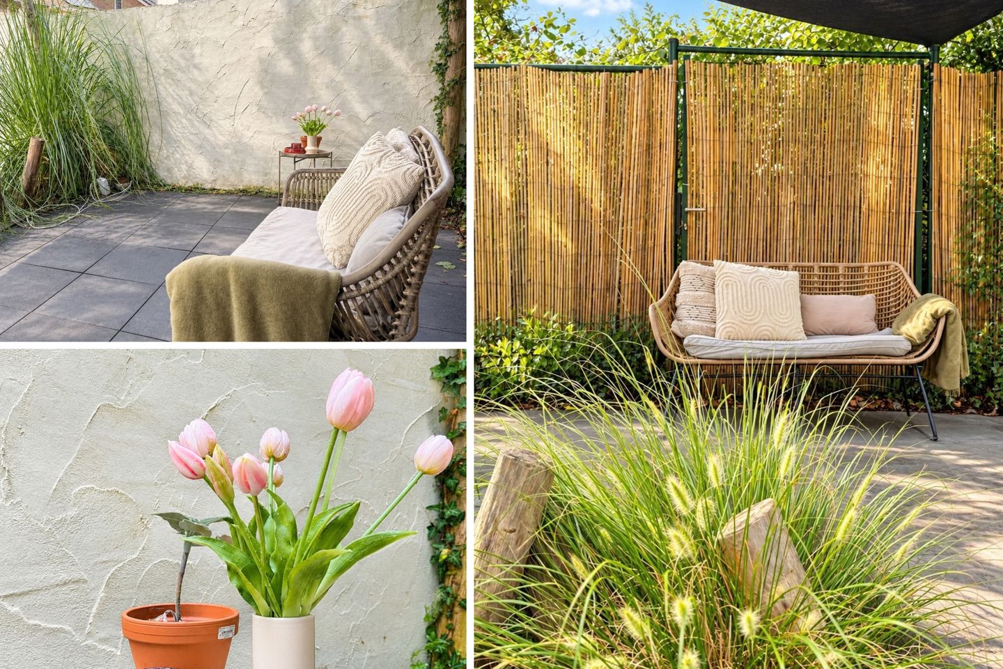 Photo 34 of Annadal 55