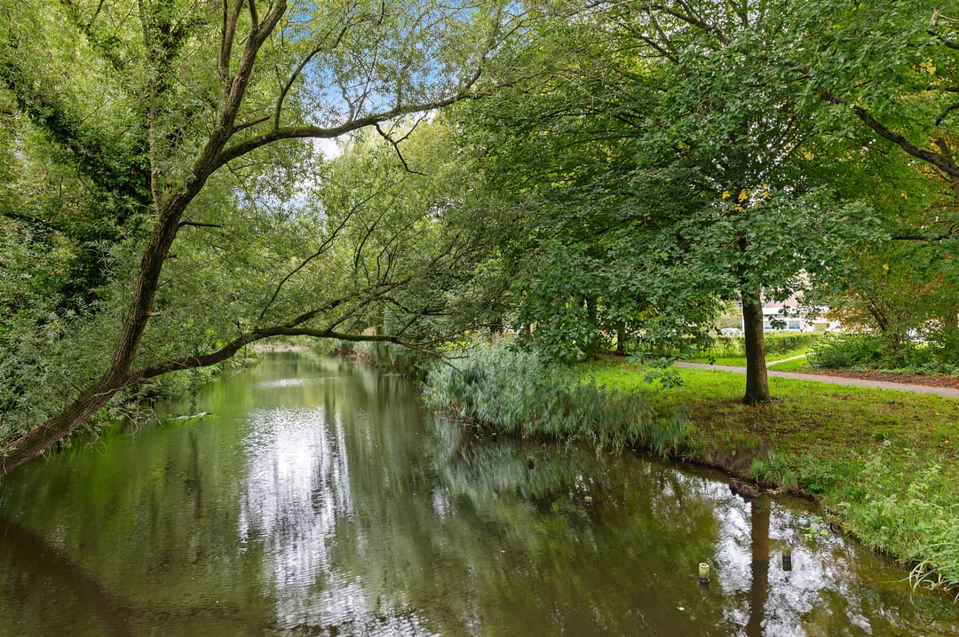 Foto 41 van Cornelis Pronklaan 47