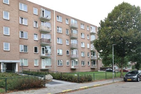 Parklaan thumbnail