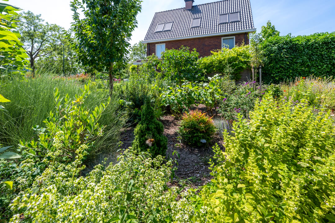 Photo 41 of Pablo Picassostraat 537