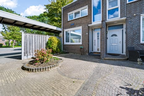 Vleugel thumbnail
