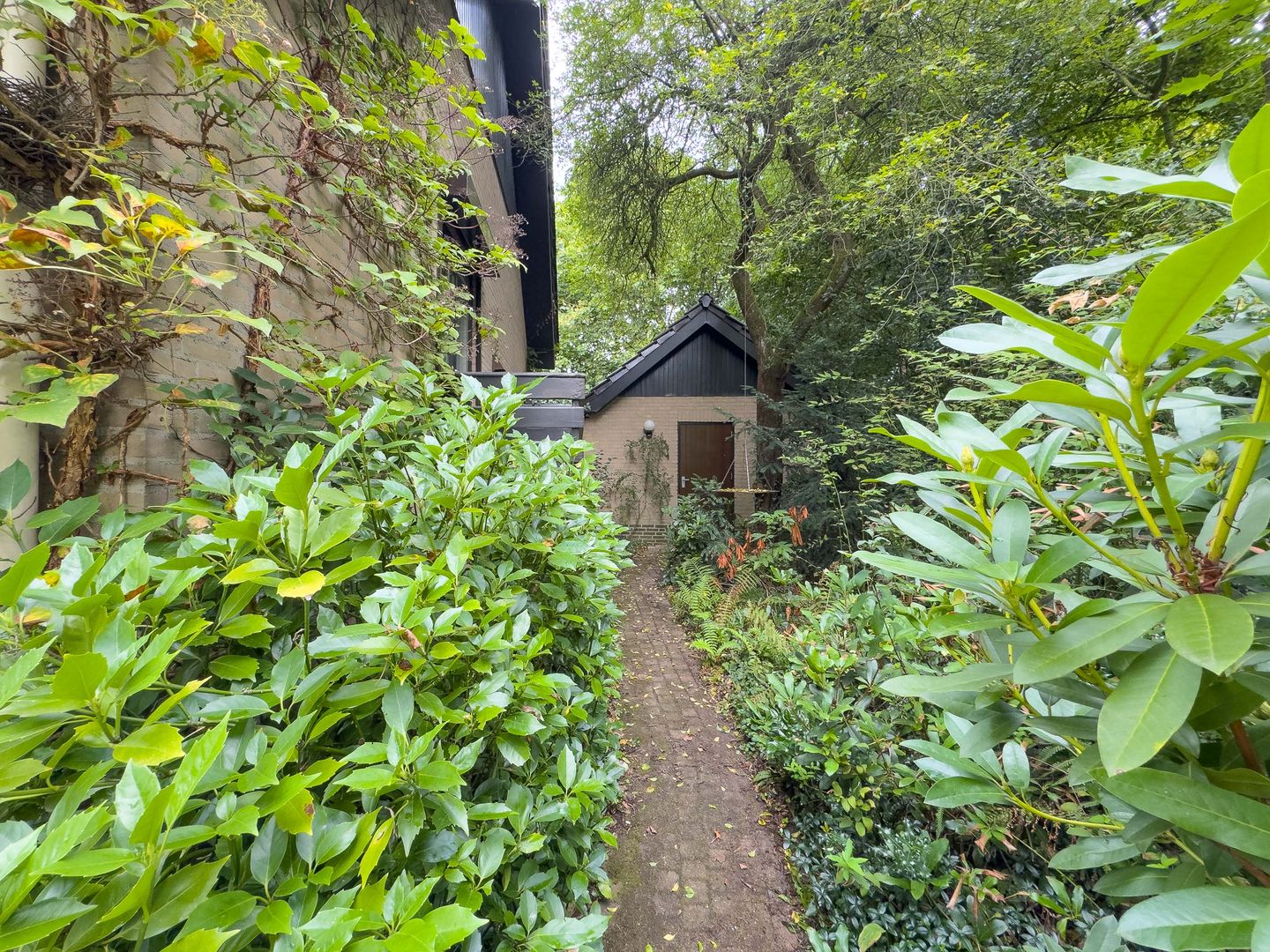 Photo 44 of Pieter Mondriaanstraat 3
