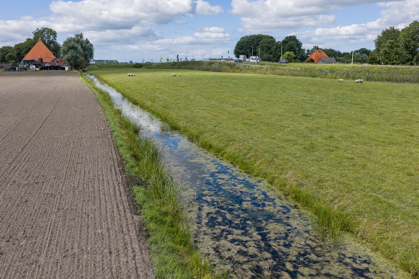 Langereis - Hoogwoud - Afbeelding 5