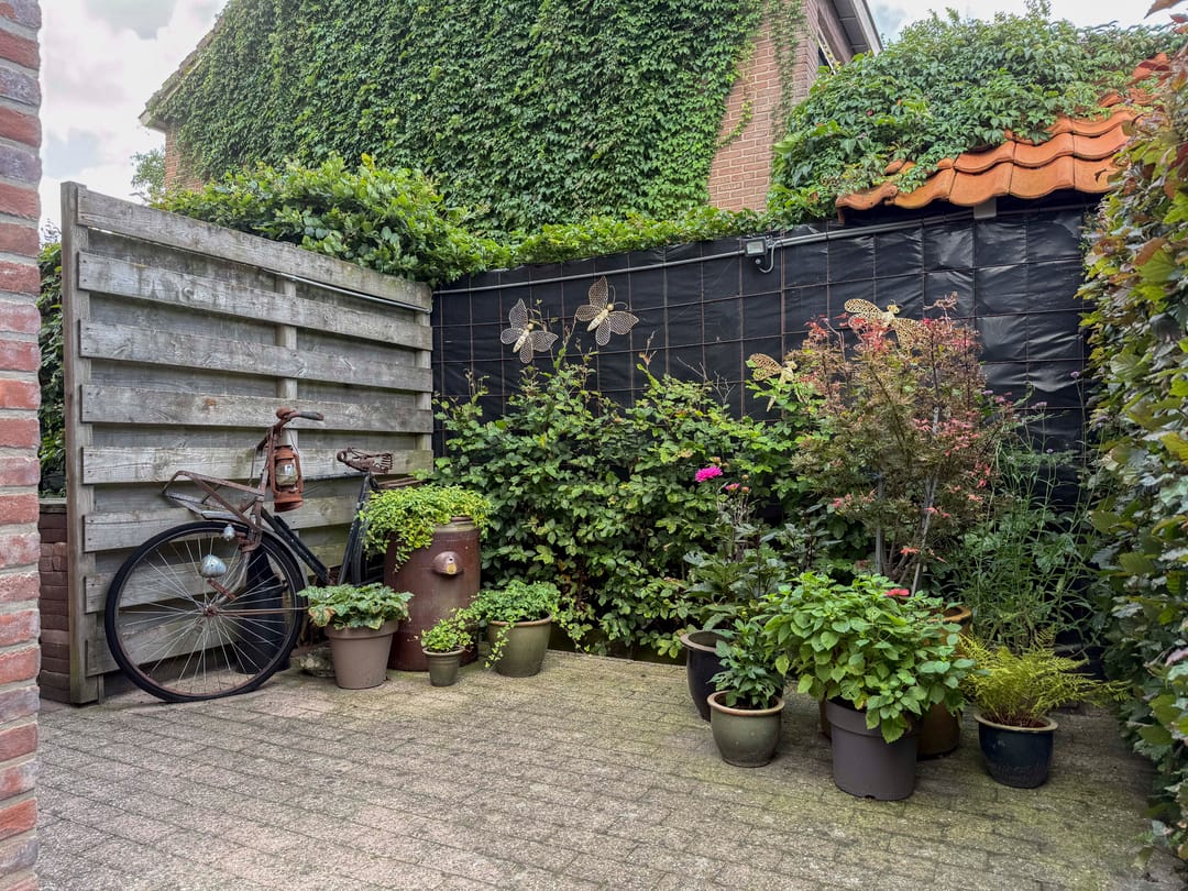Photo 26 of Voorslag 8