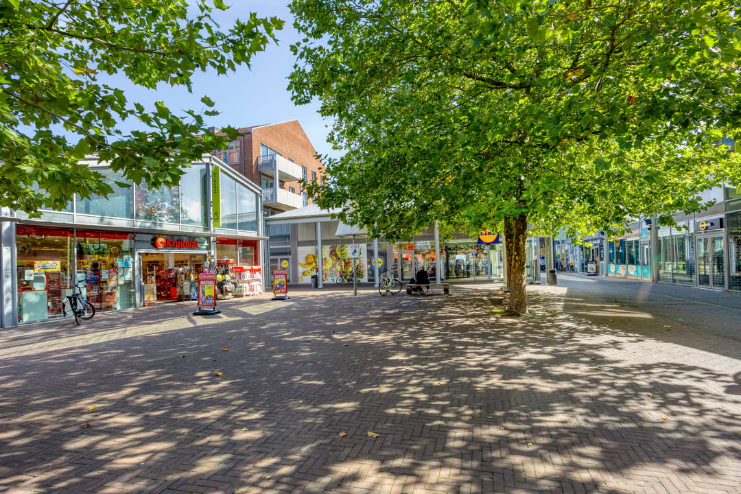 Foto 47 van Mierikswortelstraat 40