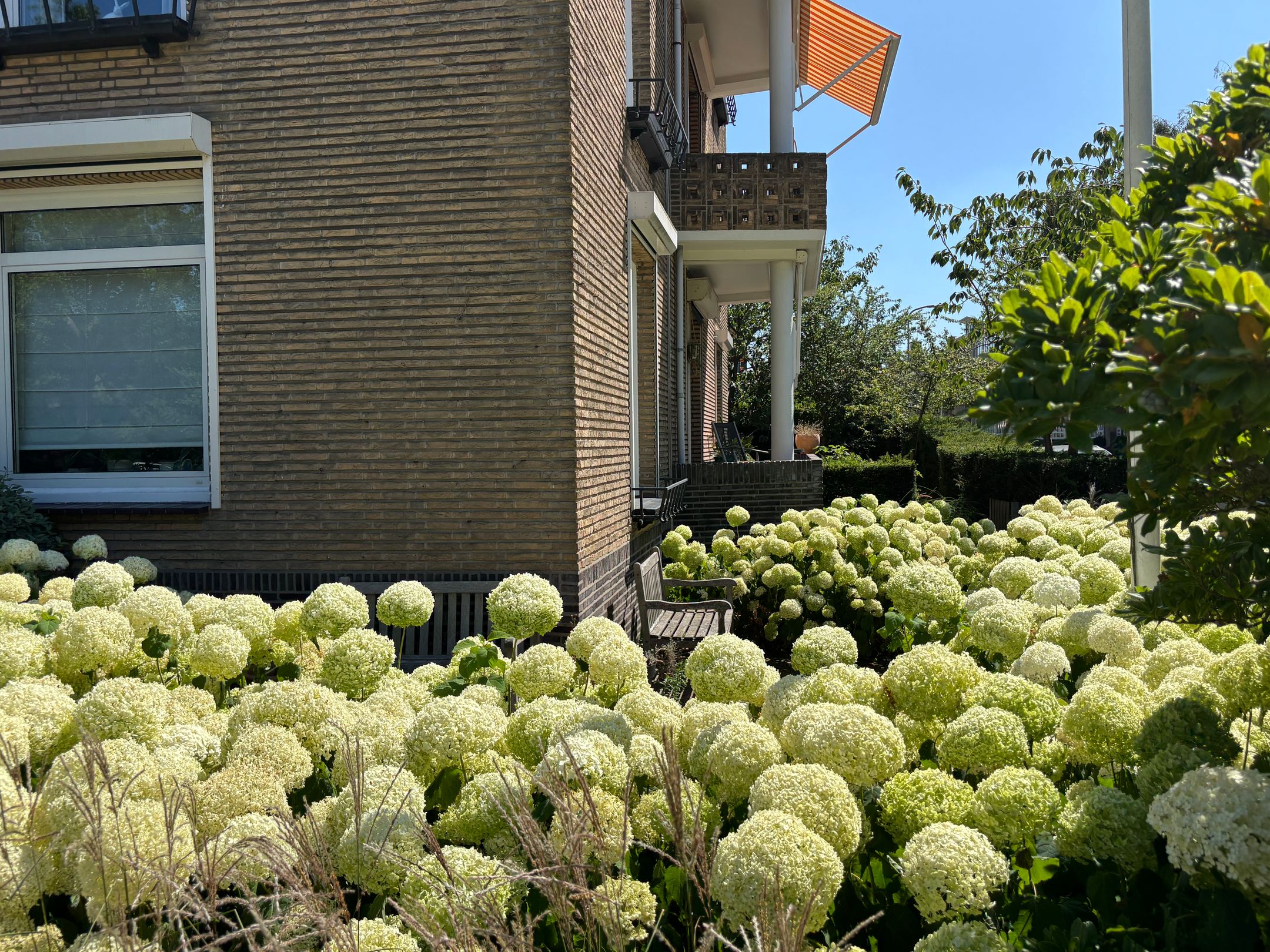 Foto 42 van Wassenaarseweg 309