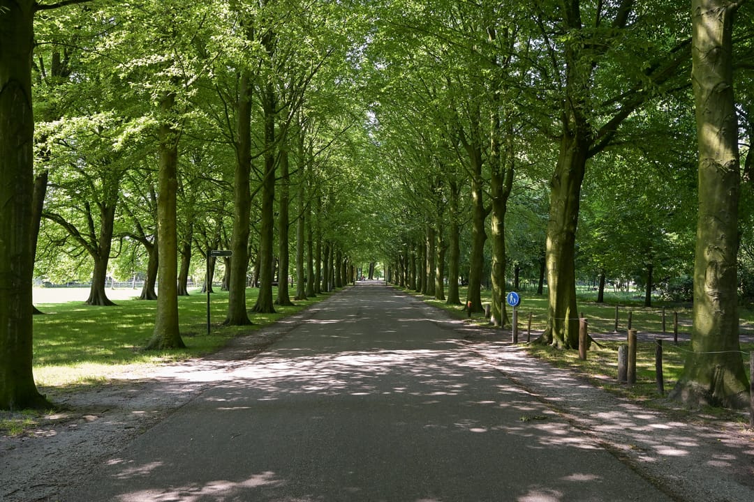 Foto 43 van Wassenaarseweg 309