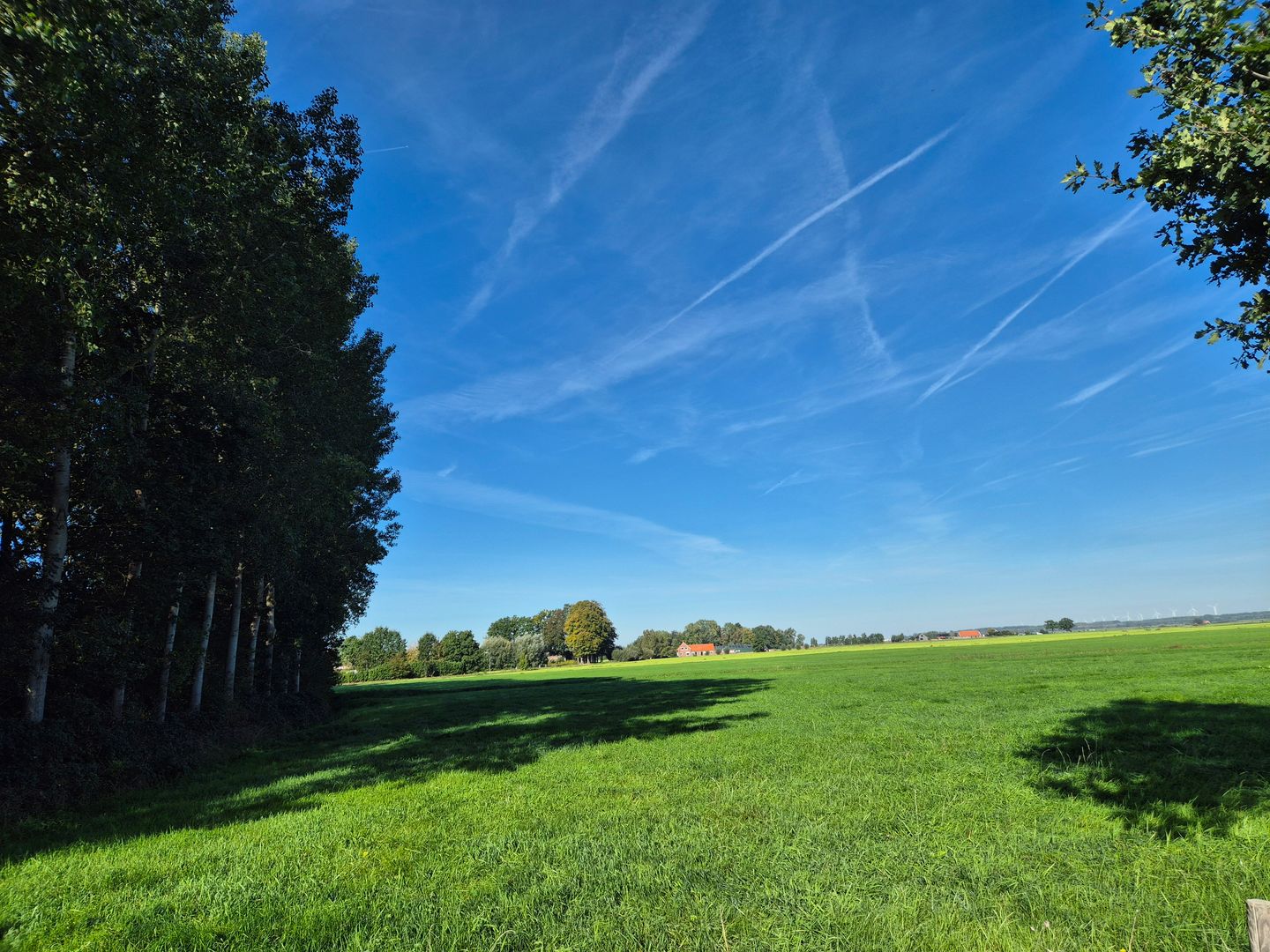 Bekijk foto 1 van Bunschoterweg