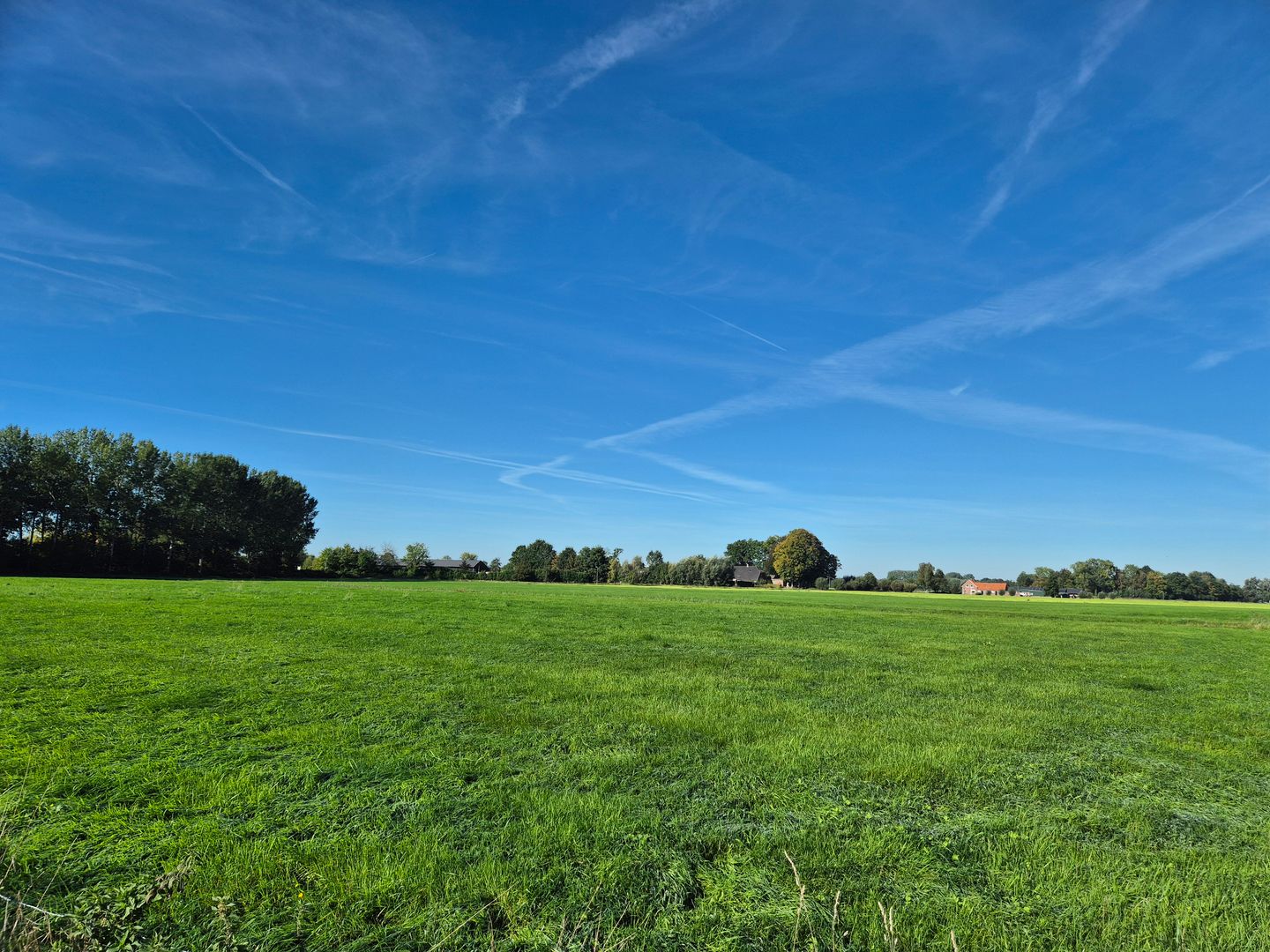Bekijk foto 3 van Bunschoterweg