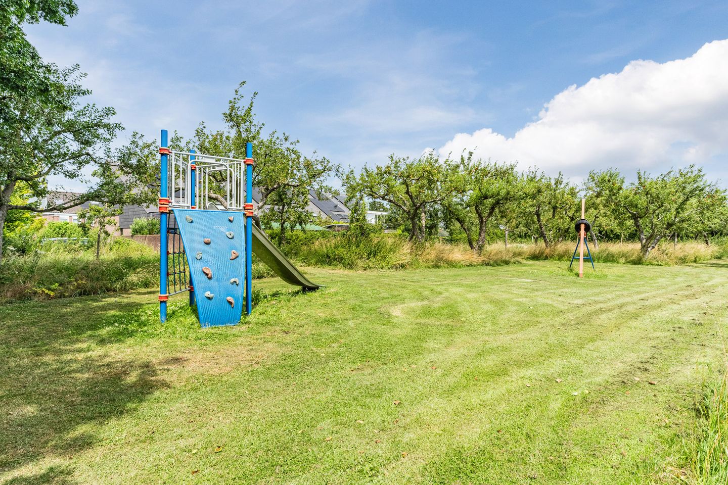 Foto 4 van Eikeboom 35