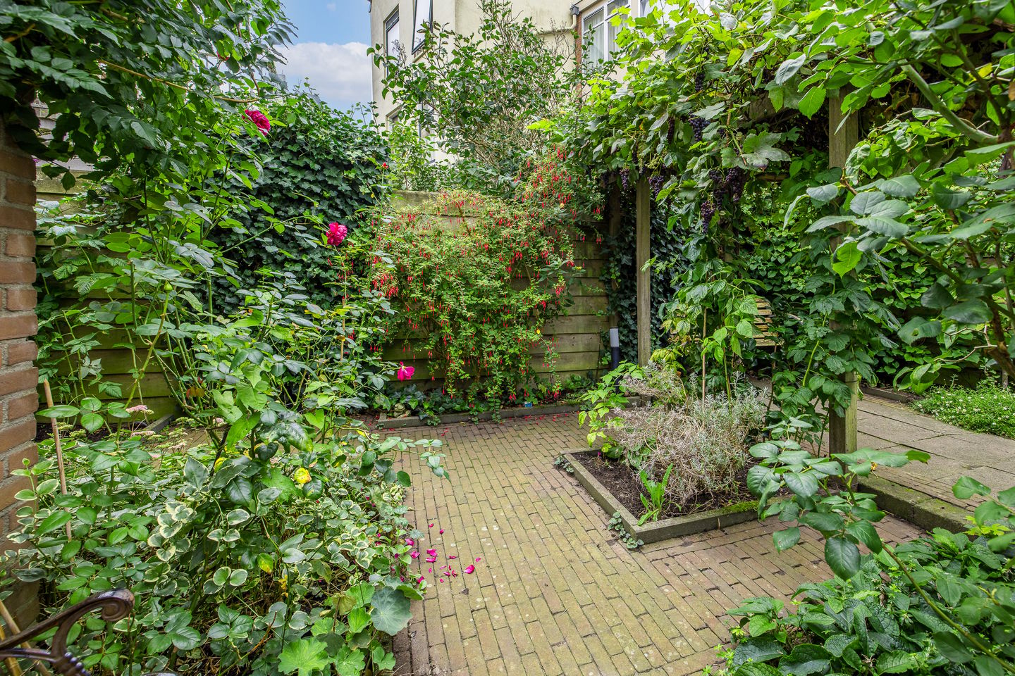 Foto 44 van Singeldwarsstraat 13