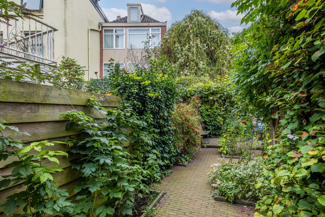 Foto 41 van Singeldwarsstraat 13
