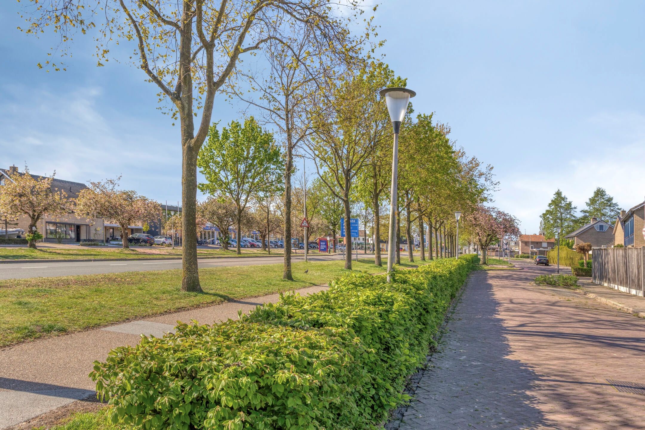 Foto 42 van Aronskelkstraat 11