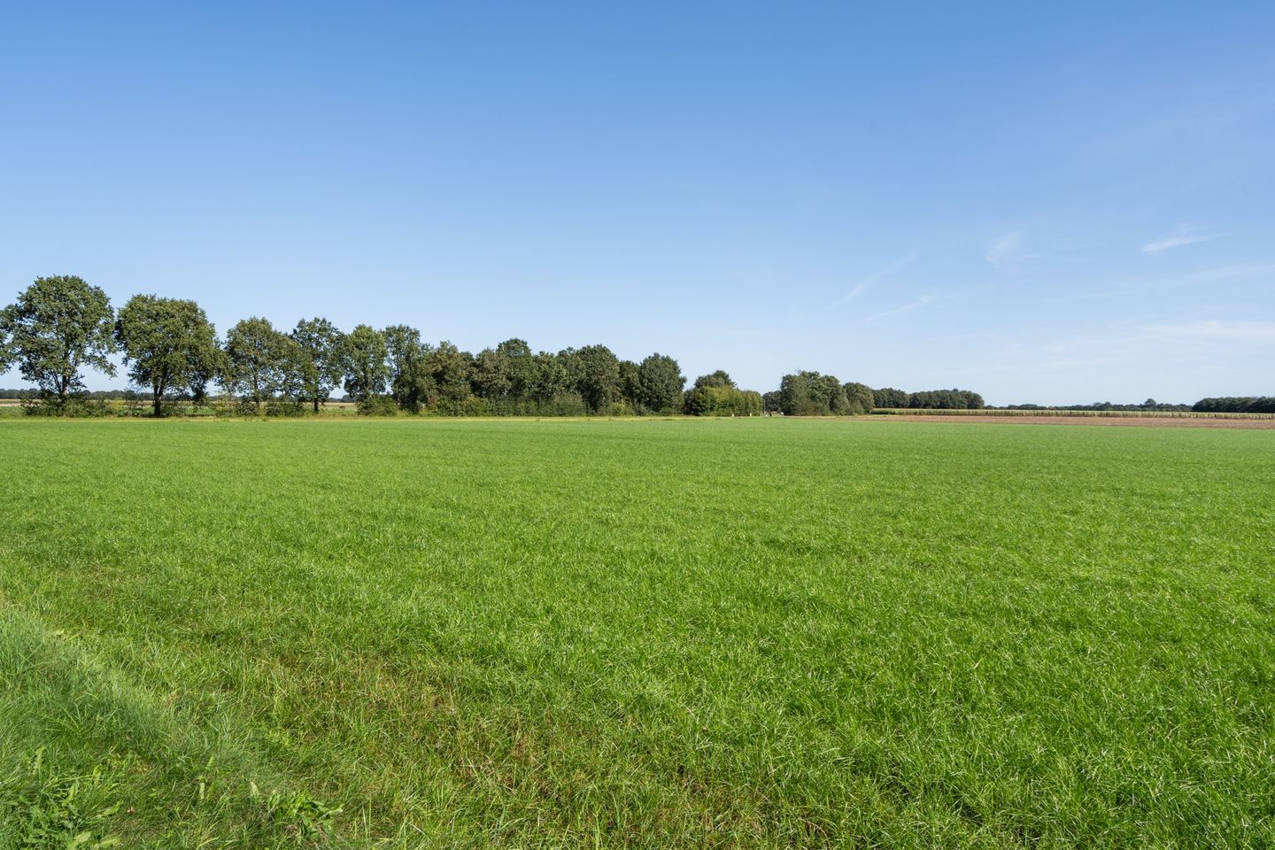 Bekijk foto 2 van Kampweg 12