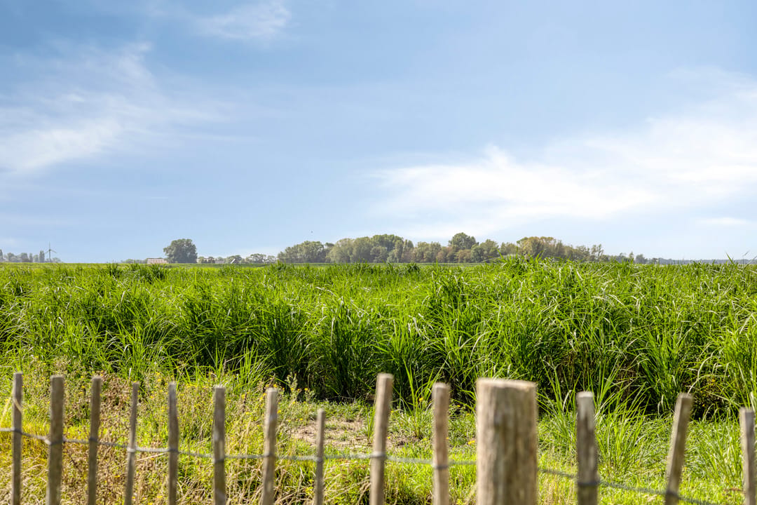 Foto 52 van Strandloper 61
