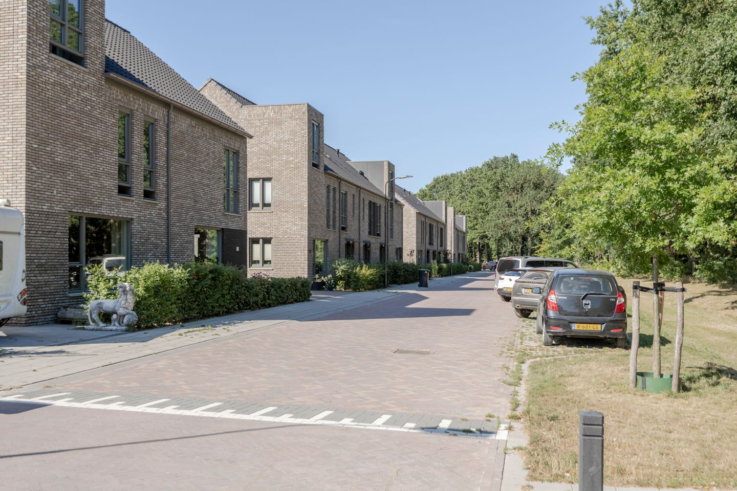 Foto 49 van Pinksterbloem 66
