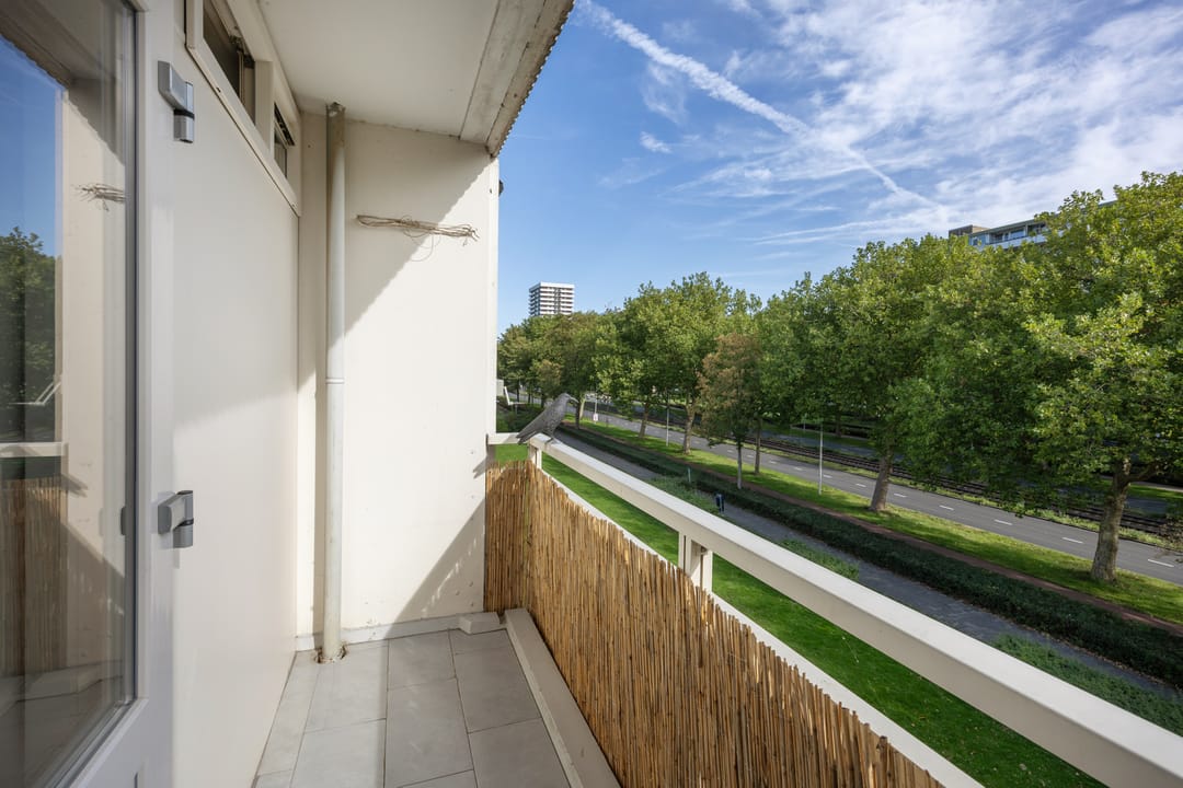 Photo 16 of Eisenhowerlaan 272