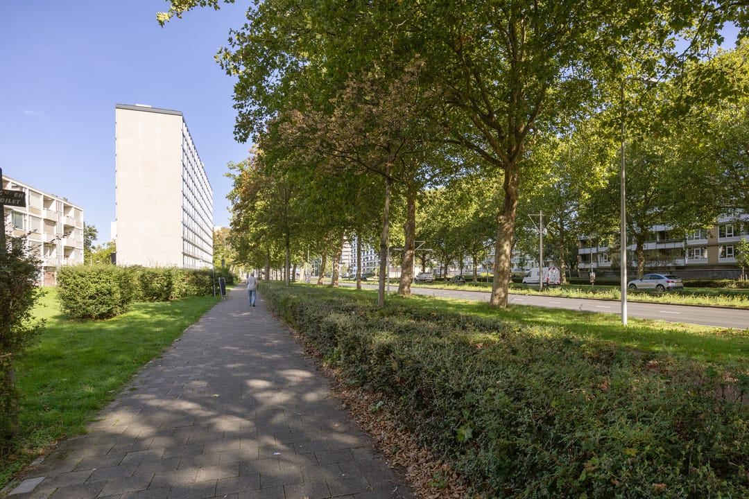 Photo 31 of Eisenhowerlaan 272