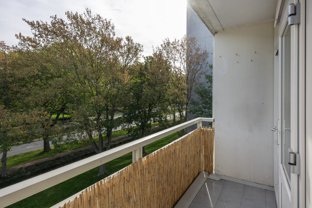 Photo 17 of Eisenhowerlaan 272