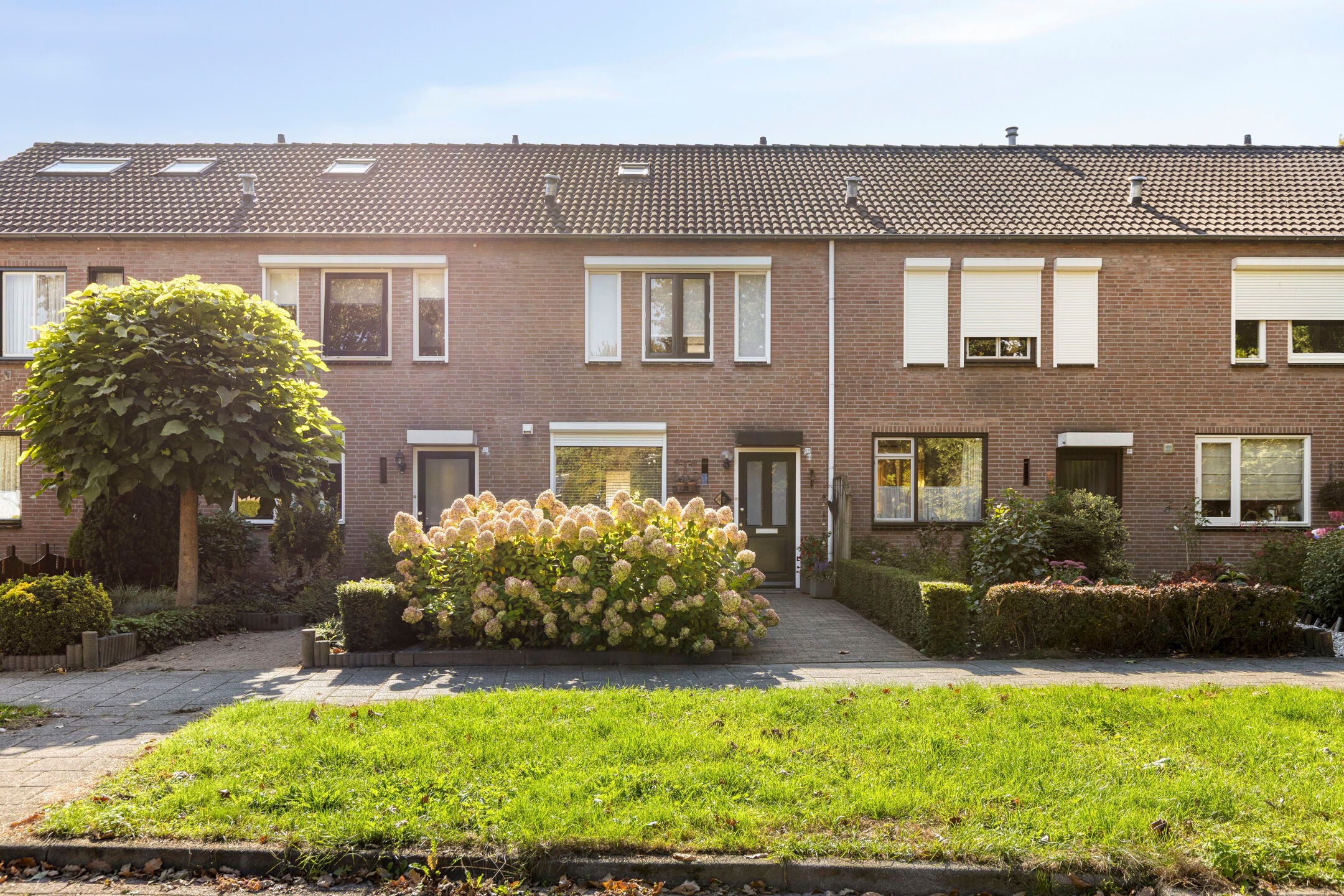 Florisstraat 29