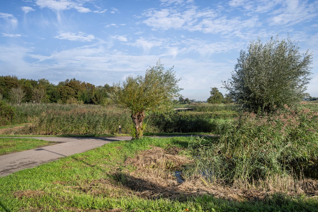 Photo 46 of Utrechtlaan 13
