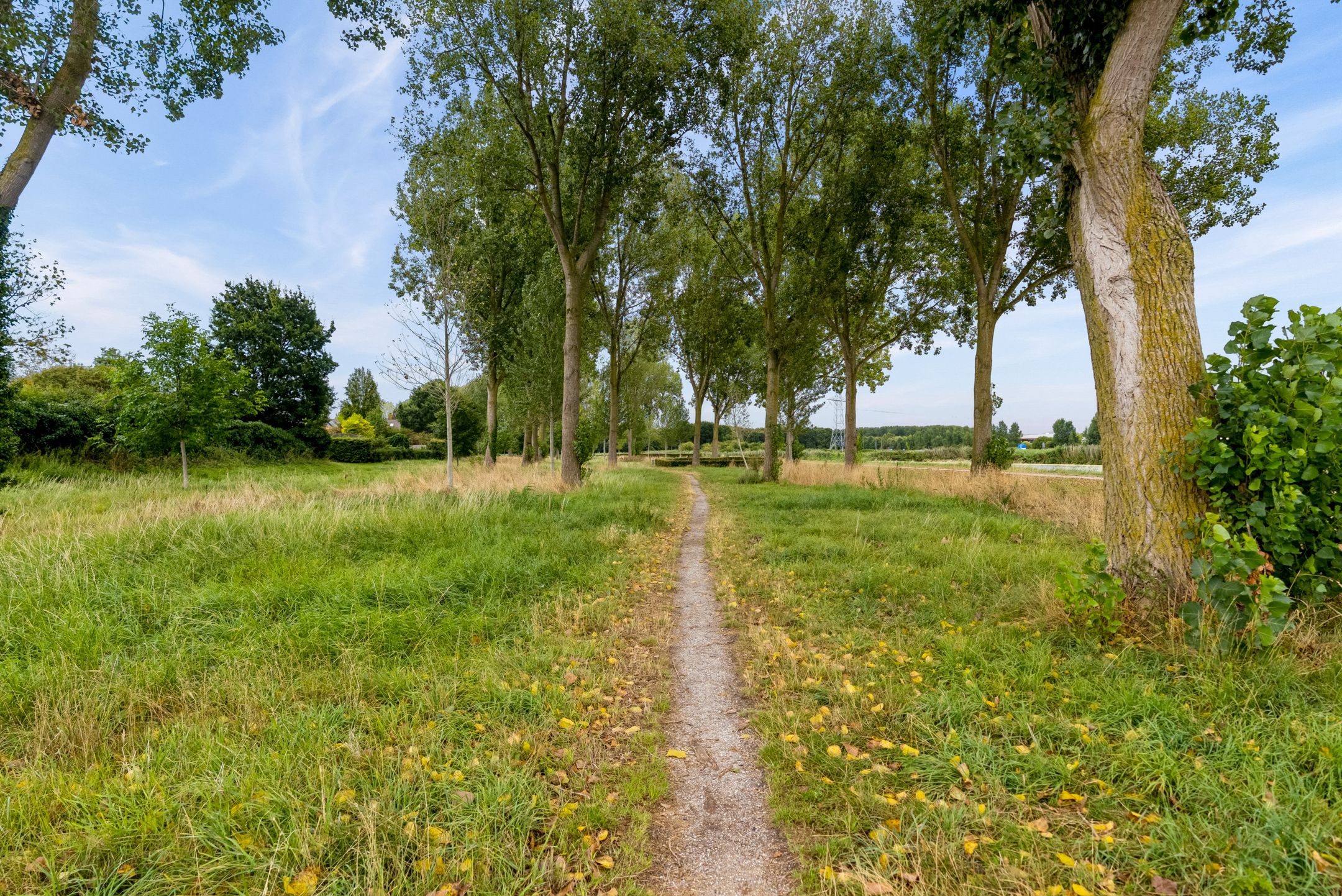 Foto 42 van IJsbeerpad 10