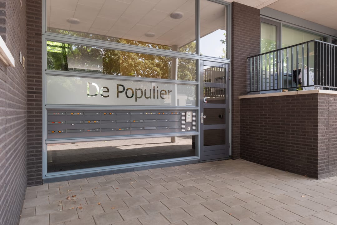 Foto 41 van Populier 42