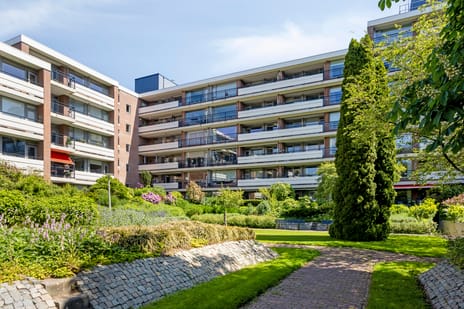 Loseweg thumbnail