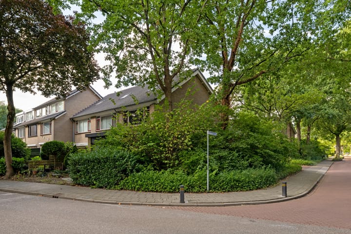 Foto 4 van Mesdaghout 1